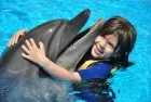 Enjoy a dolphin show on Sharm El Sheikh excursions